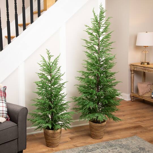 Northlight 6ft. Unlit Medium Norfolk Pine Artificial Potted Christmas Tree